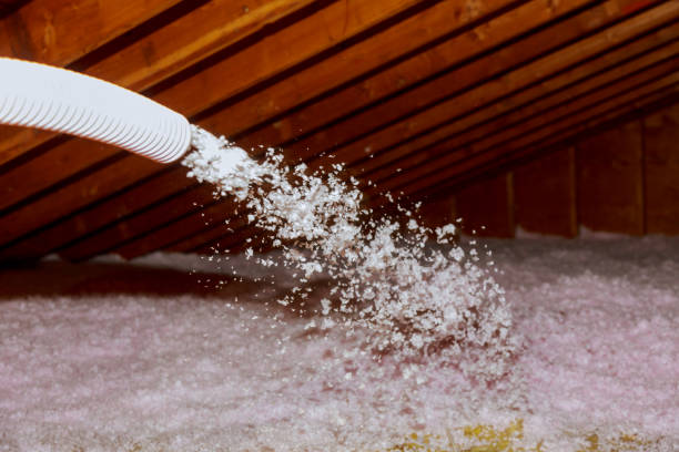 Best Insulation Contractors for Homes  in Selma, TX