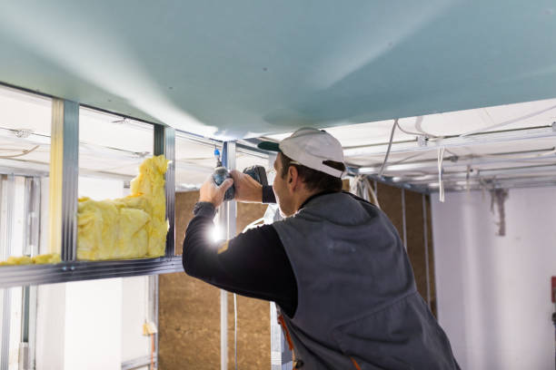 Best Insulation Contractors for Homes  in Selma, TX