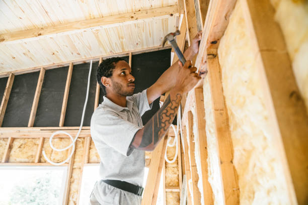 Best Attic Insulation Installation  in Selma, TX