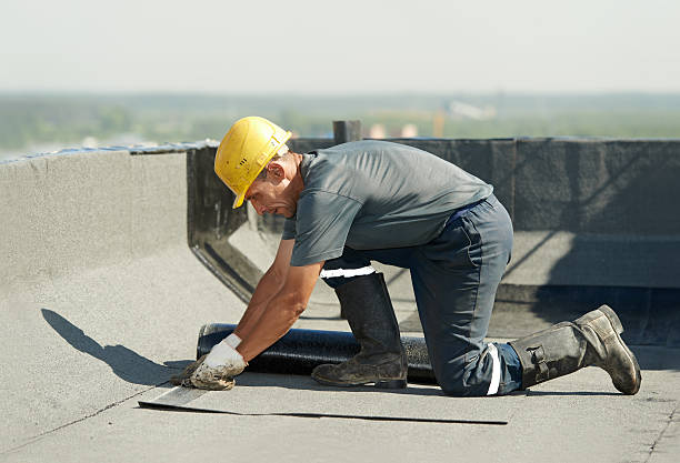 Best Professional Insulation Contractor  in Selma, TX
