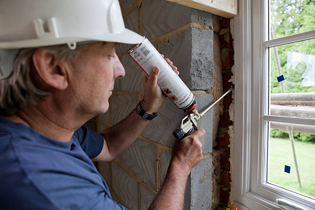 Best Insulation Contractor Near Me  in Selma, TX