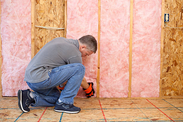 Best Local Insulation Services  in Selma, TX