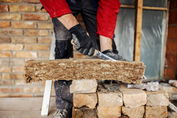 Best Residential Insulation Services  in Selma, TX