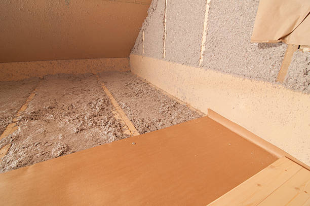 Best Home Insulation Services  in Selma, TX
