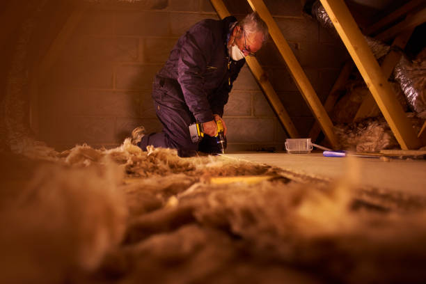 Best Energy-efficient Insulation  in Selma, TX